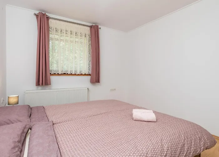 Amazing In With Sauna Apartment Vrbovsko